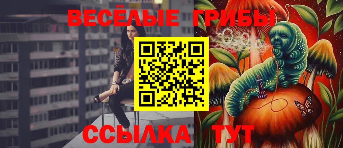 Галлюциногенные грибы Psilocybe  Вход с VPN  Симферополь 